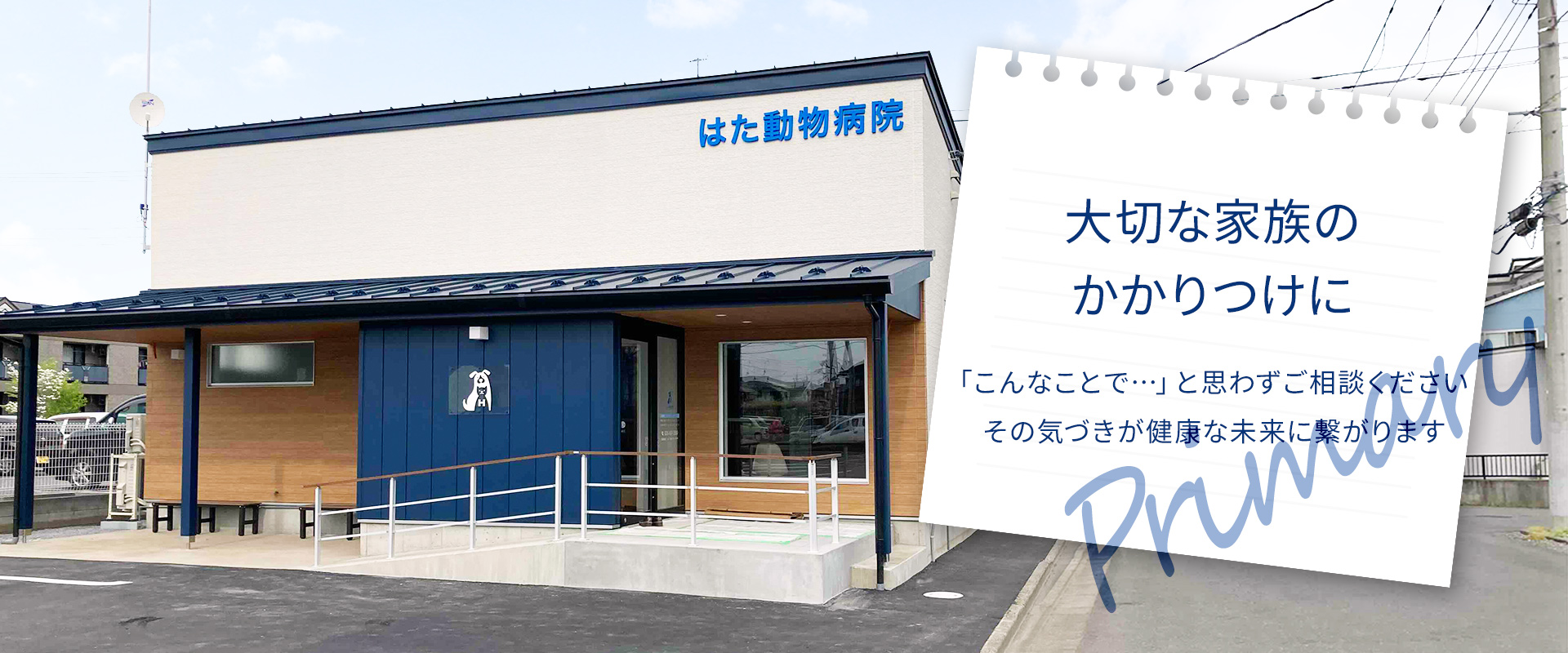 大切な家族のかかりつけに「こんなことで...」と思わずに、はた動物病院へご相談ください。