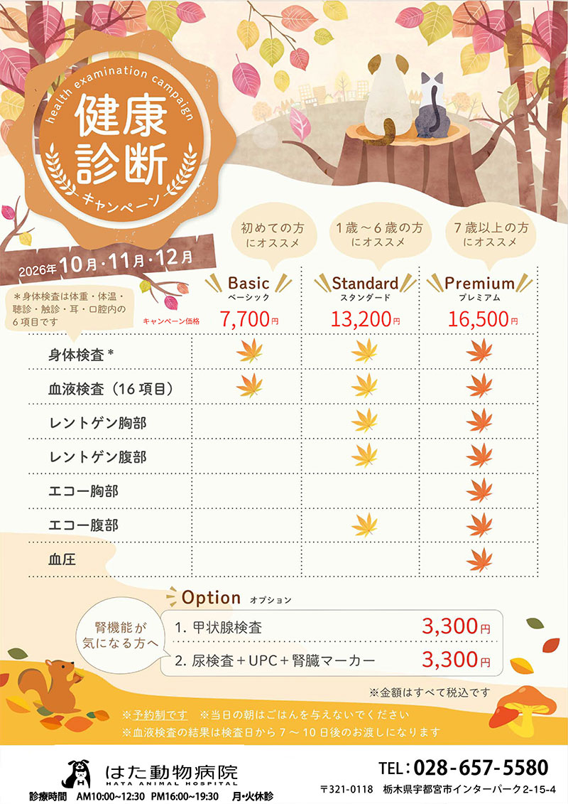 2026年健康診断キャンペーンのお知らせのチラシ